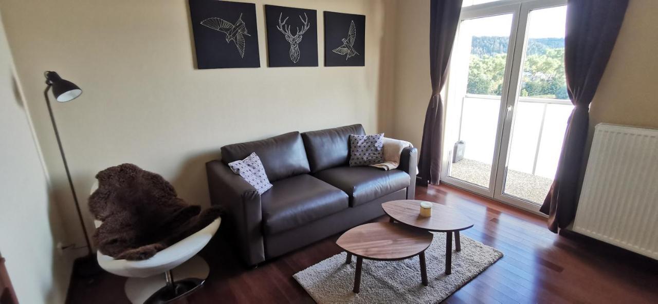 Moser Apartment Carlsbad Karlovy Vary Luaran gambar